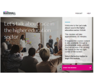 Racism training e-learning screenshot