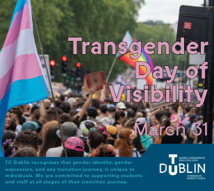 Transgender Day of Visibility News listing