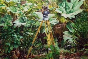 AIB Research Centre on Inclusive and Equitable Cultures, Newsletter Sept-Dec 2021