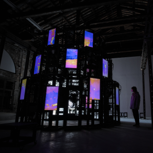 Entanglement Case Study Box